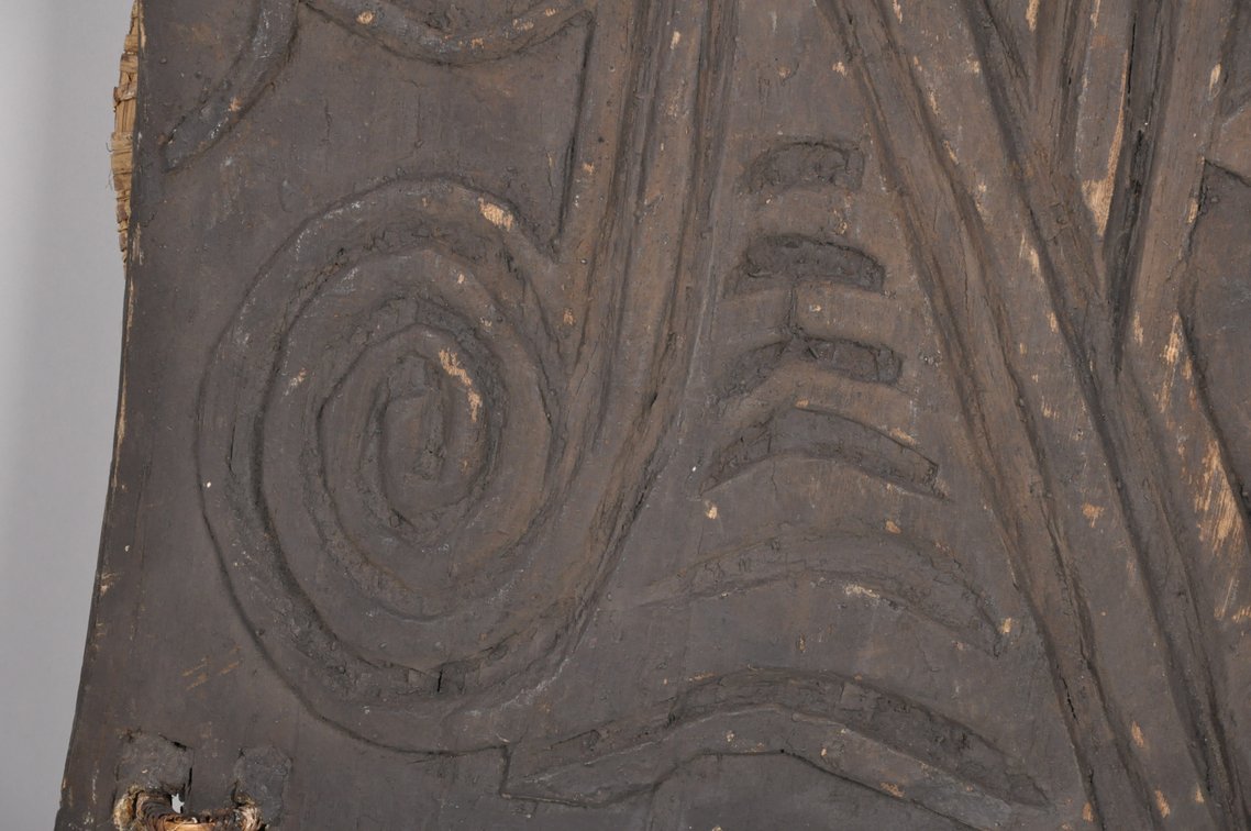 Lumie War Shield, Papua New Guinea, photo 3 of 6