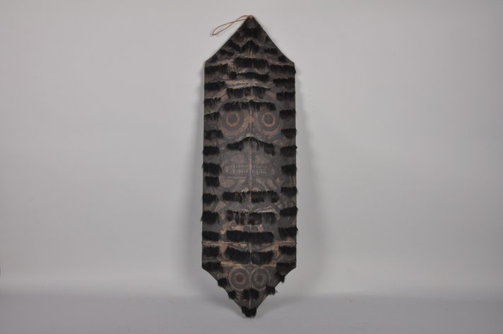 Dayak War Shield Island of Borneo 19th/20th Century