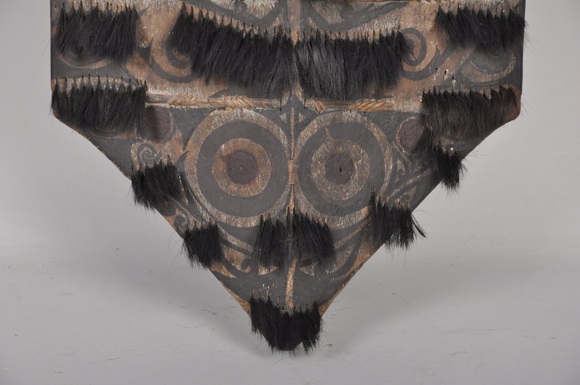 Dayak War Shield Island of Borneo 19th/20th Century, photo 2 of 6