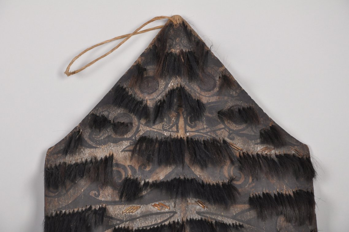 Dayak War Shield Island of Borneo 19th/20th Century, photo 5 of 6