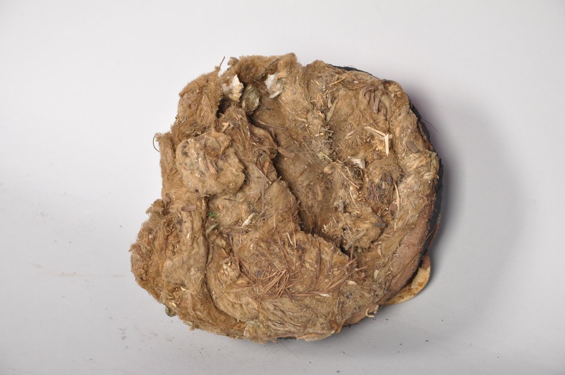 Temes Nevimbur Ceremonial Mask, photo 7 of 7