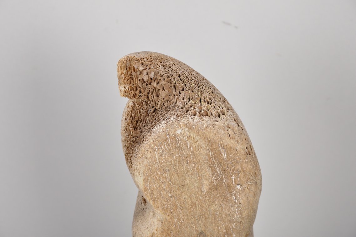 Inuit Whale Bone Carved Eskimo Sculpture, photo 8 of 12