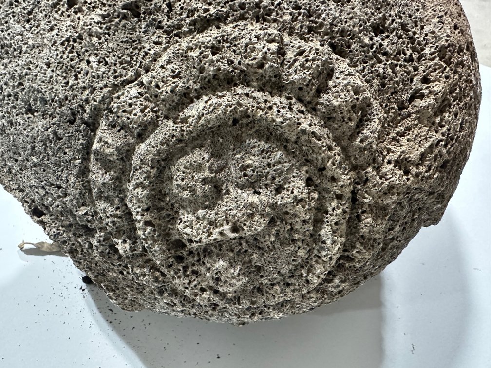 Lava Rock Carved Vessel, Nicoya Culture, photo 15 of 16