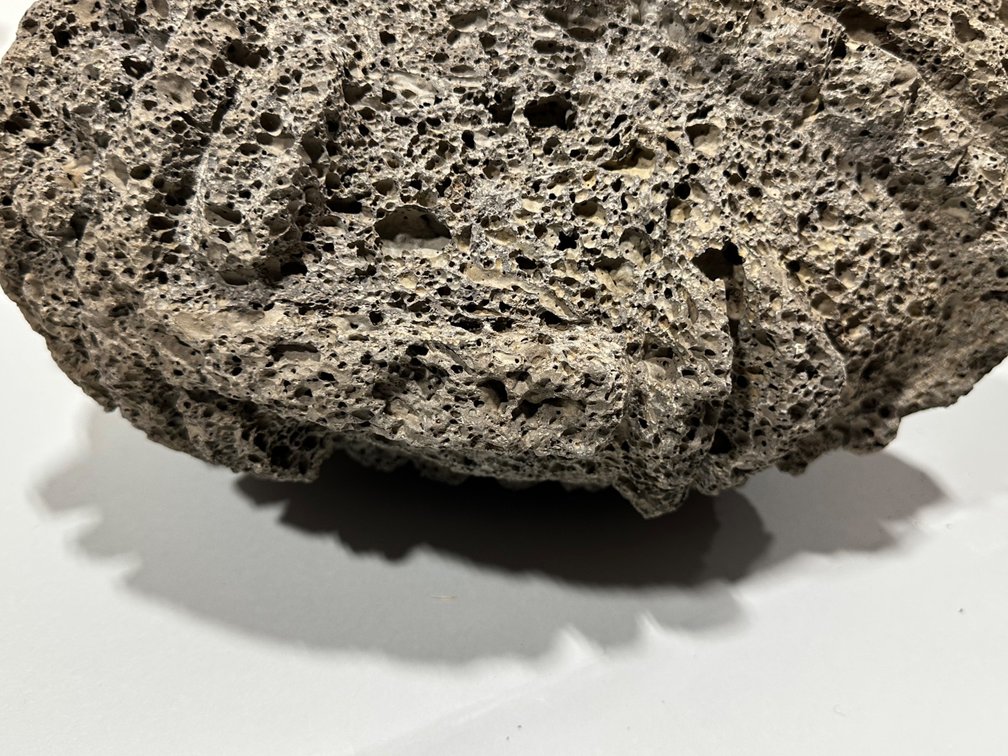 Shaman Double Headed Honeycomb Lava Rock Sculpture, photo 11 of 17
