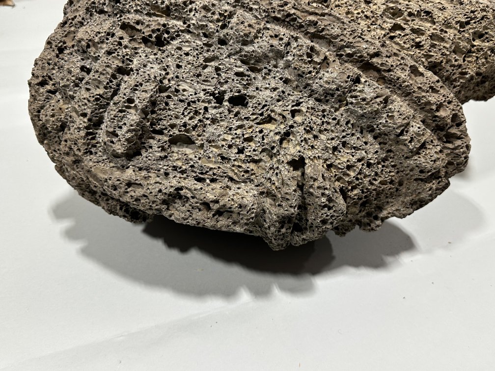 Shaman Double Headed Honeycomb Lava Rock Sculpture, photo 10 of 17