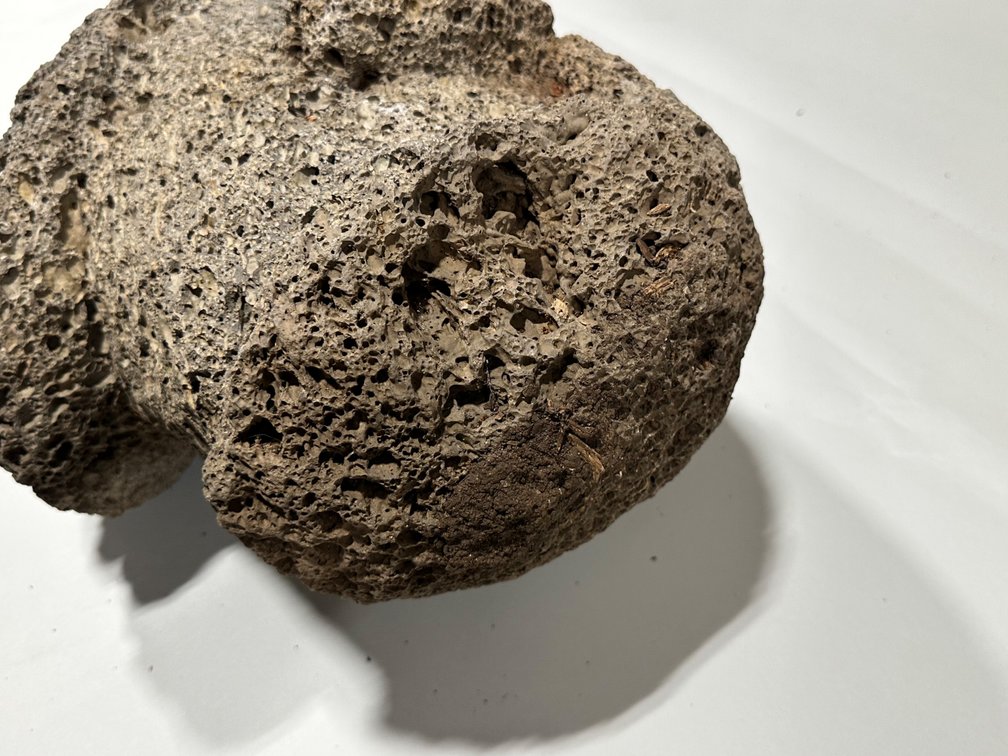 Shaman Double Headed Honeycomb Lava Rock Sculpture, photo 12 of 17