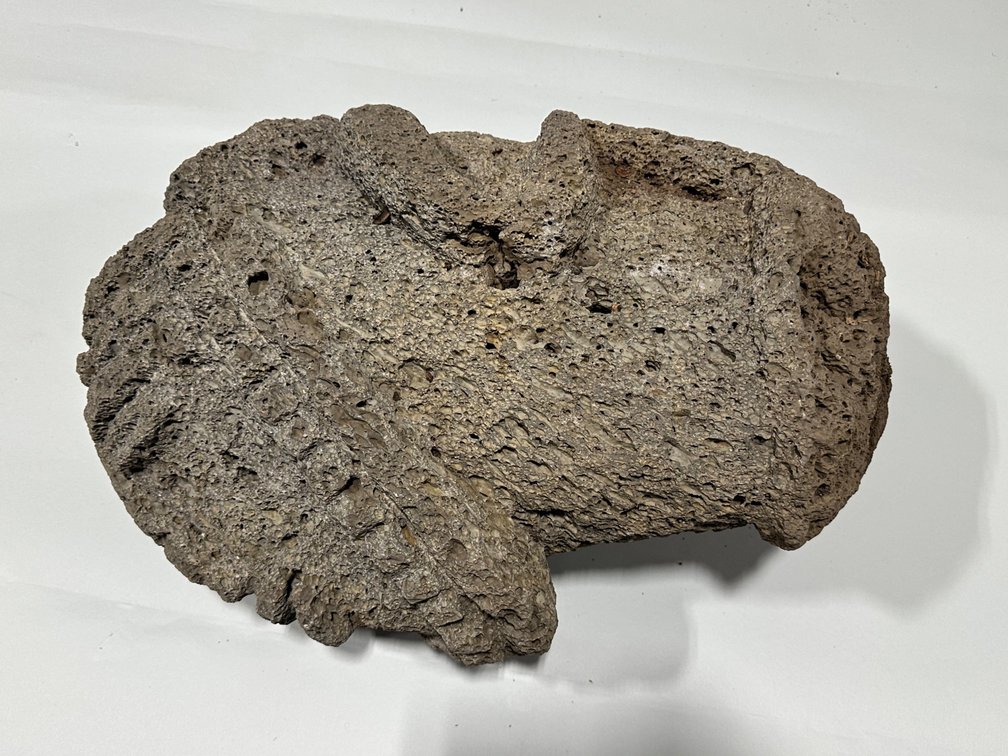 Shaman Double Headed Honeycomb Lava Rock Sculpture, photo 9 of 17
