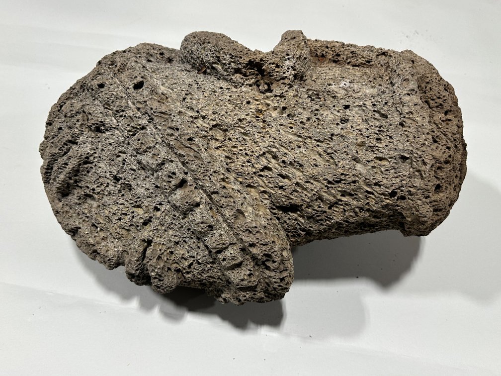 Shaman Double Headed Honeycomb Lava Rock Sculpture, photo 8 of 17