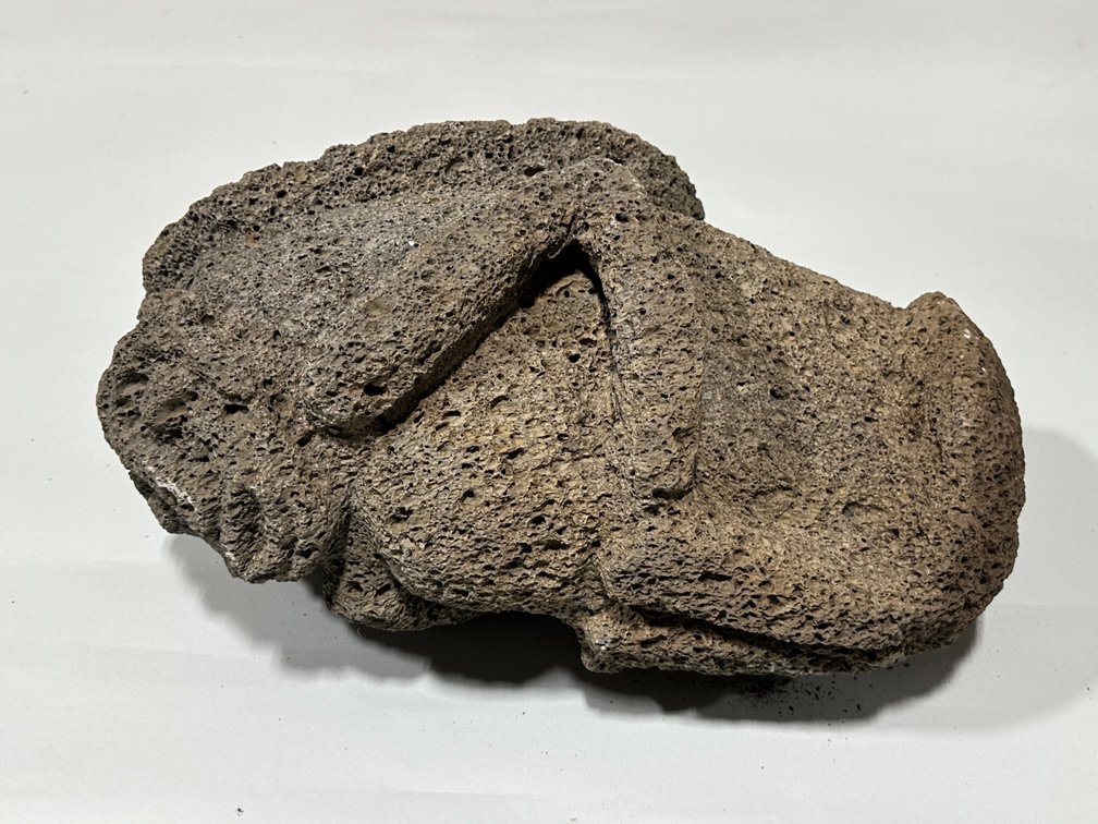 Shaman Double Headed Honeycomb Lava Rock Sculpture, photo 15 of 17