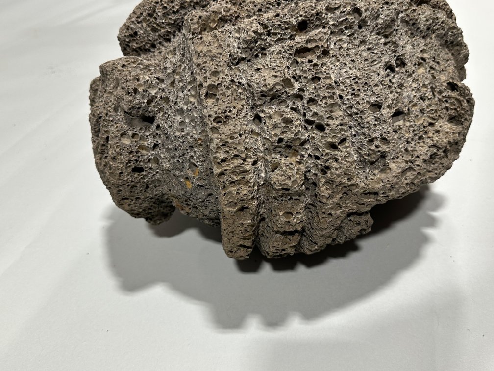 Shaman Double Headed Honeycomb Lava Rock Sculpture, photo 13 of 17