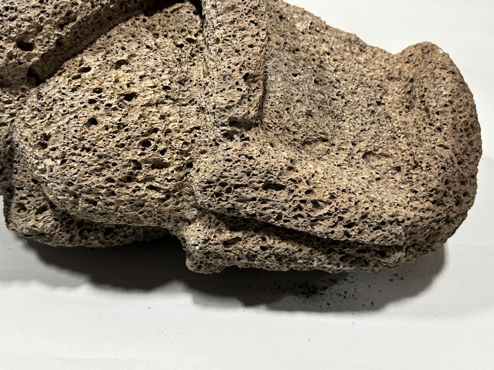 Shaman Double Headed Honeycomb Lava Rock Sculpture, photo 17 of 17