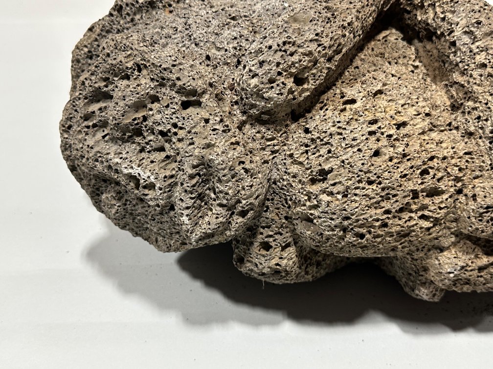 Shaman Double Headed Honeycomb Lava Rock Sculpture, photo 16 of 17