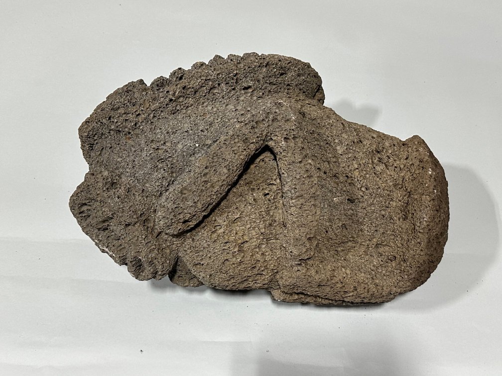 Shaman Double Headed Honeycomb Lava Rock Sculpture, photo 14 of 17