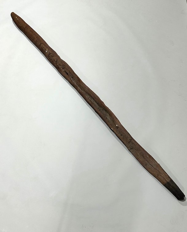 Dayak Shaman Story Pole/Staff, Indonesia, 20th Century, photo 6 of 6