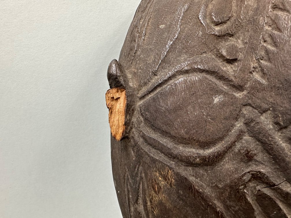 Boiken Papua New Guinea Wood Dish, photo 5 of 10