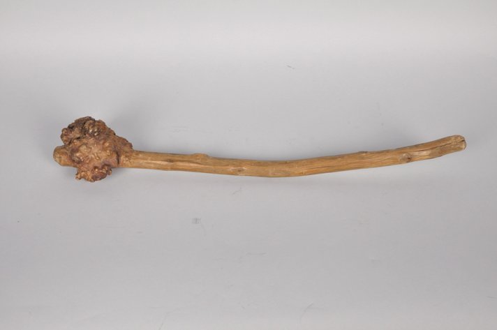 Penobscot Bay Birch Root War Club