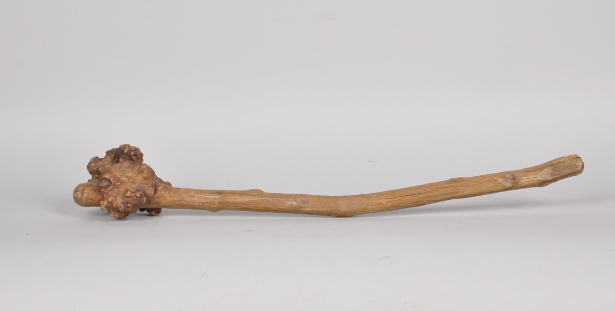 Penobscot Bay Birch Root War Club, photo 2 of 10