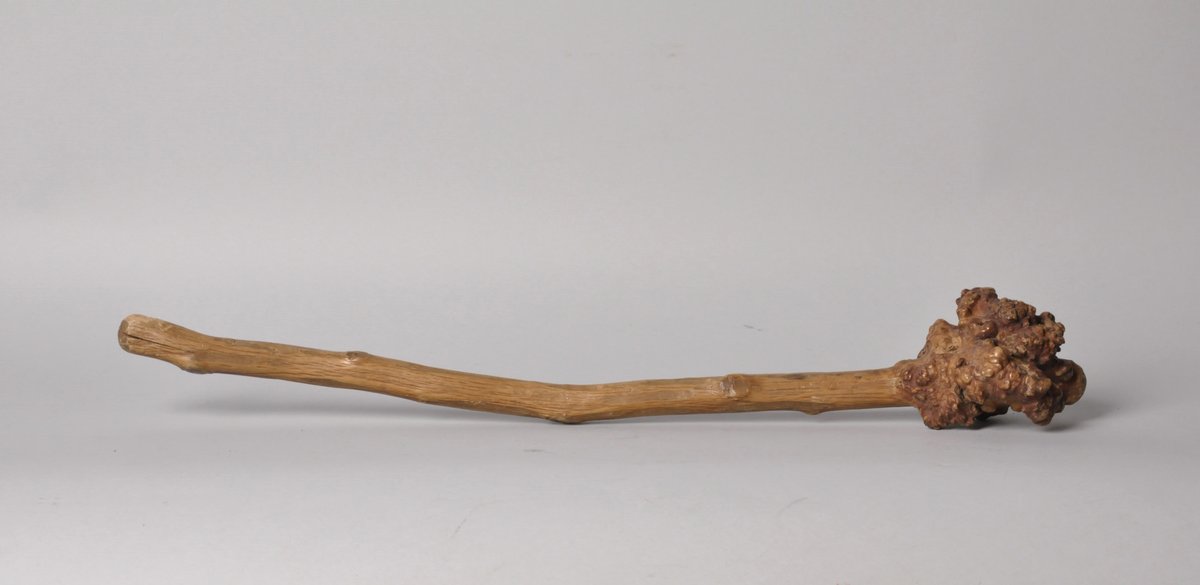 Penobscot Bay Birch Root War Club, photo 3 of 10