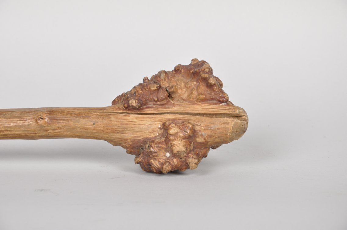 Penobscot Bay Birch Root War Club, photo 10 of 10