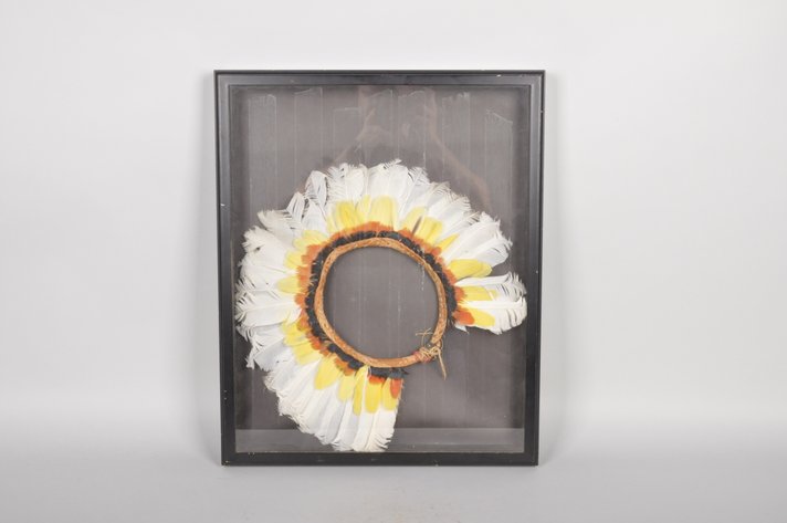 Framed 20th C. Amazon Cashinahua Feather Headdress