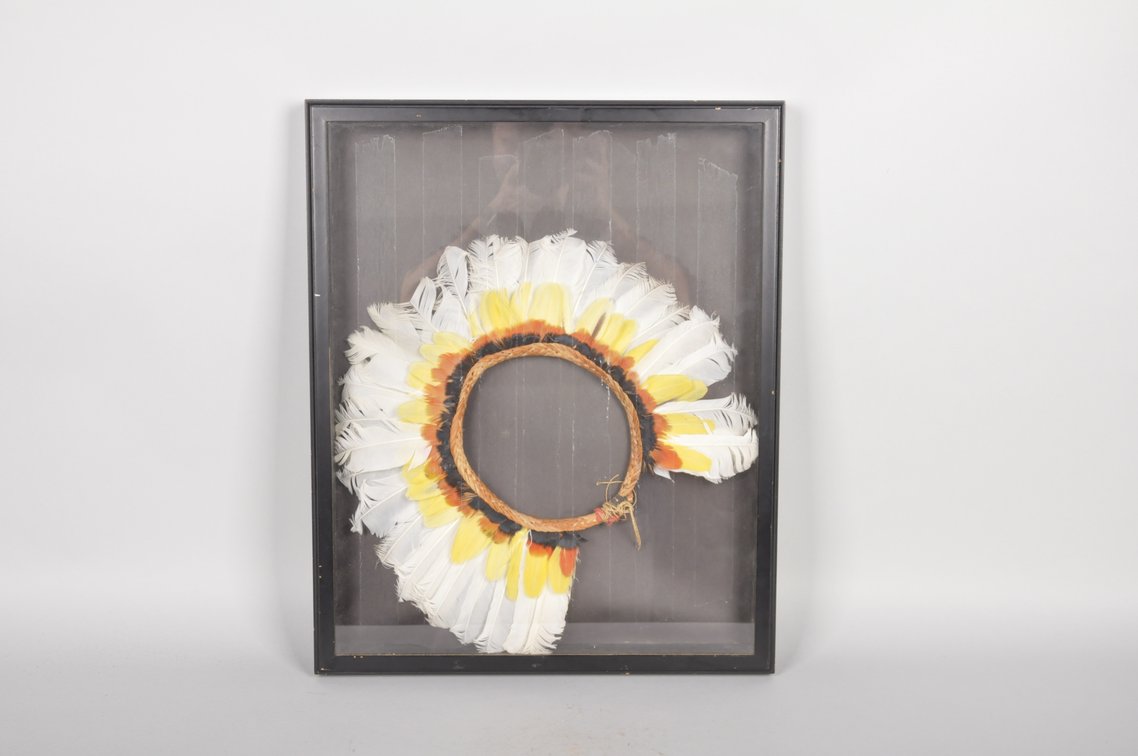 Framed 20th C. Amazon Cashinahua Feather Headdress, photo 2 of 6