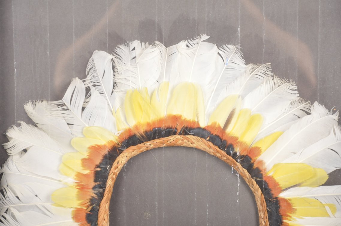 Framed 20th C. Amazon Cashinahua Feather Headdress, photo 3 of 6