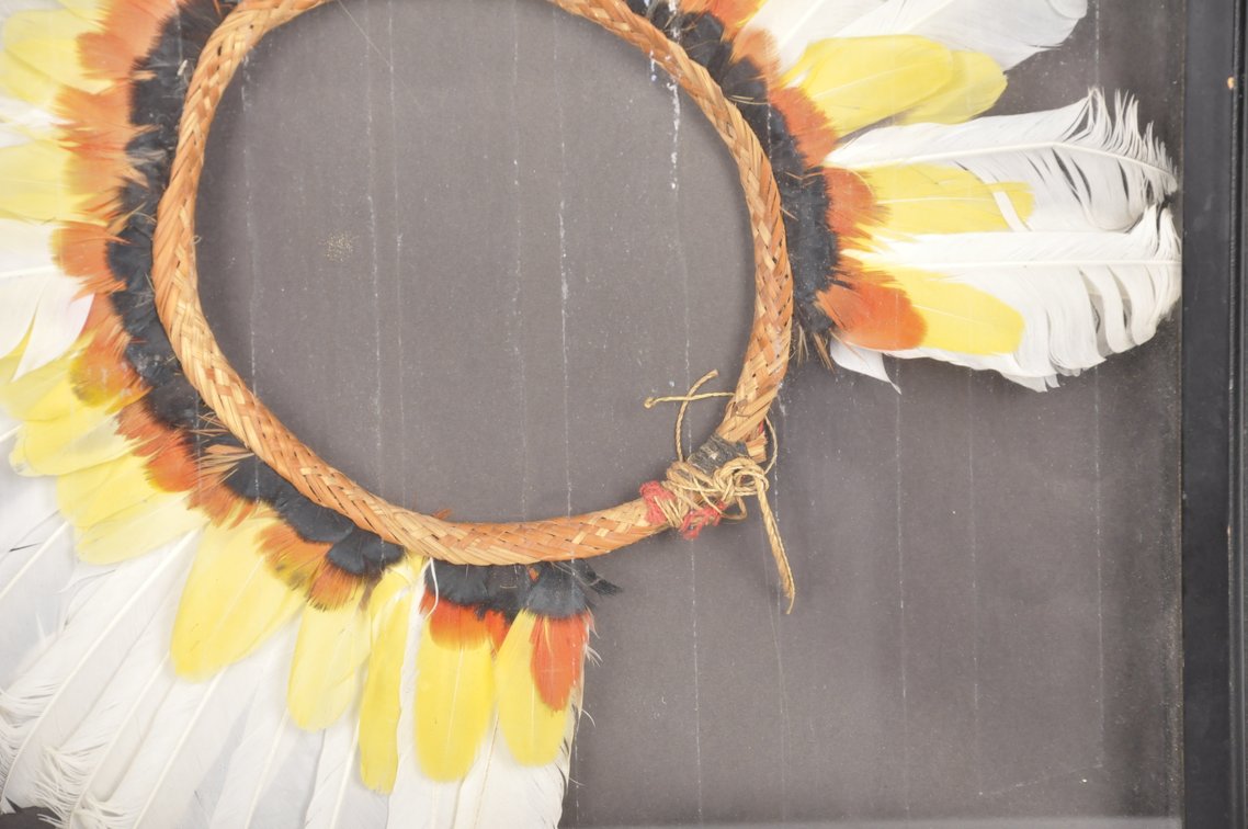 Framed 20th C. Amazon Cashinahua Feather Headdress, photo 4 of 6