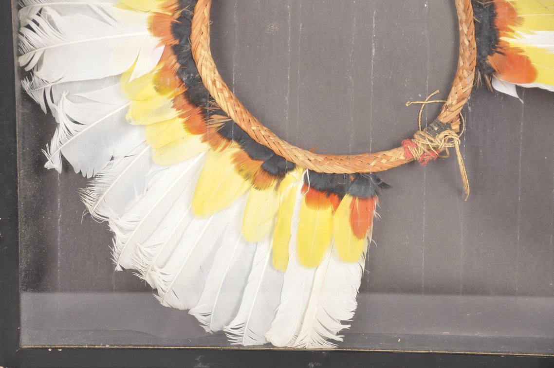 Framed 20th C. Amazon Cashinahua Feather Headdress, photo 5 of 6