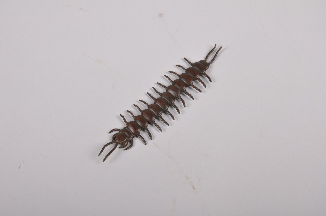 Cooper Articulated Centipede and Praymantis Jizai Okimono, photo 8 of 17