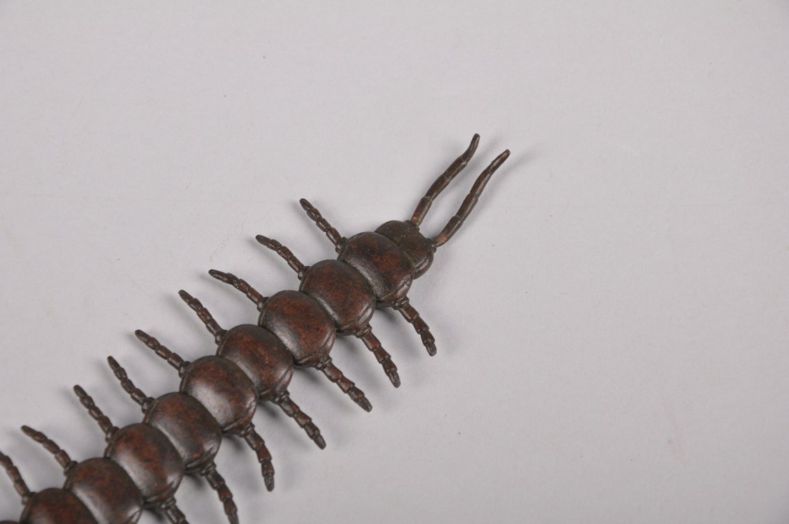 Cooper Articulated Centipede and Praymantis Jizai Okimono, photo 15 of 17