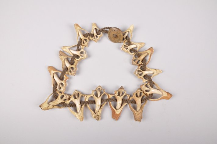 Small Conch Shell Necklace