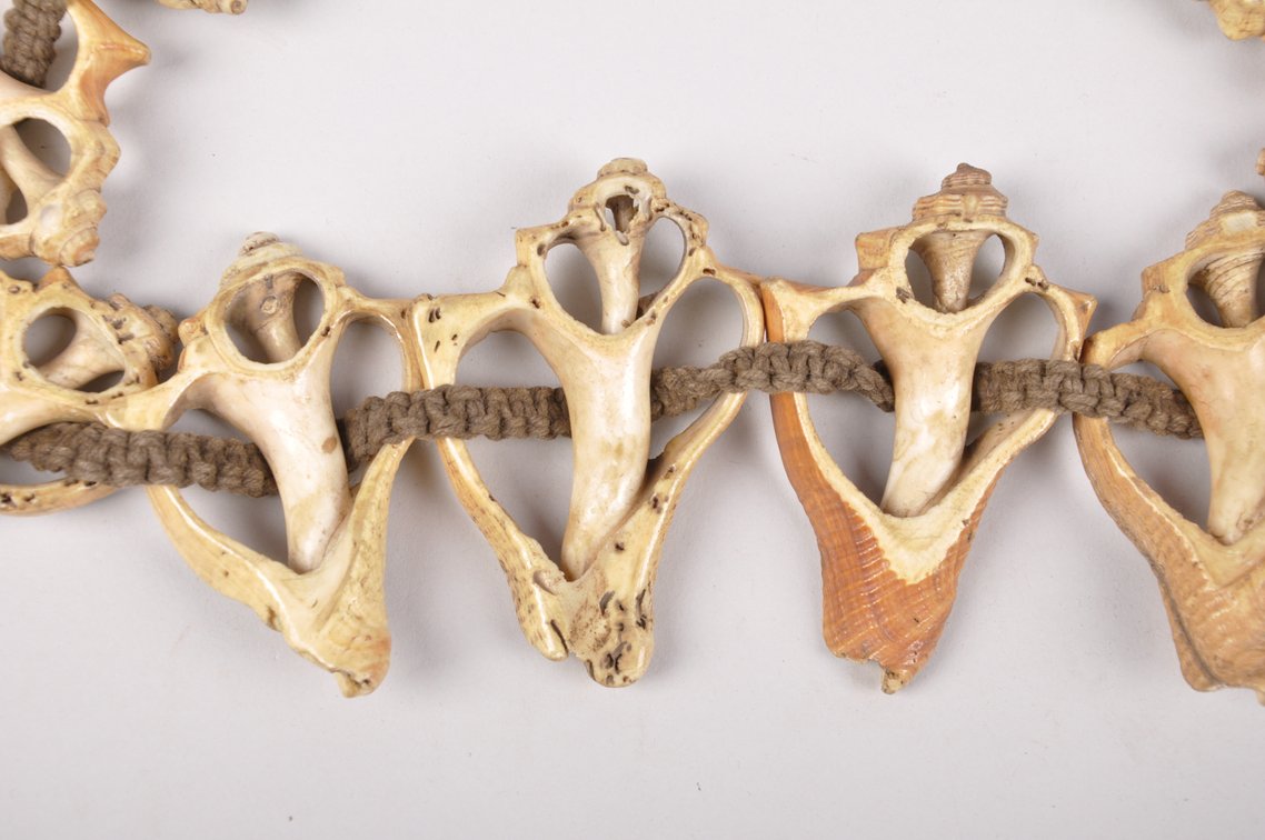 Small Conch Shell Necklace, photo 2 of 12