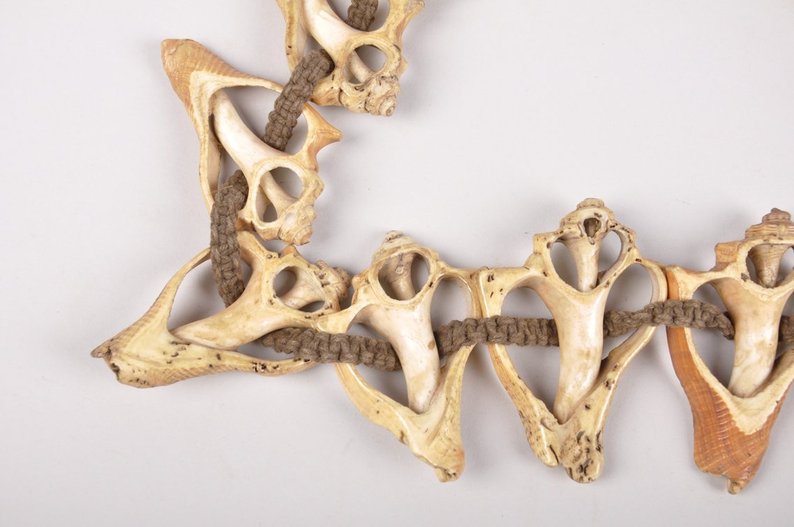 Small Conch Shell Necklace, photo 3 of 12