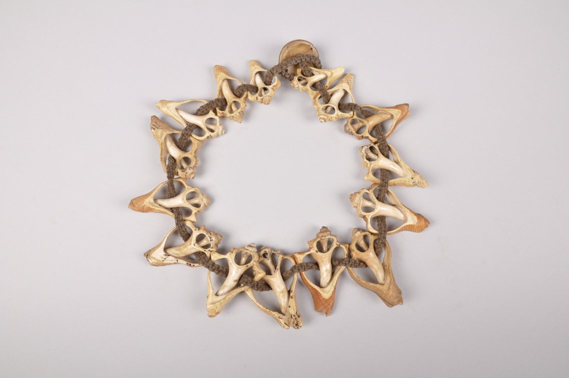 Small Conch Shell Necklace, photo 8 of 12