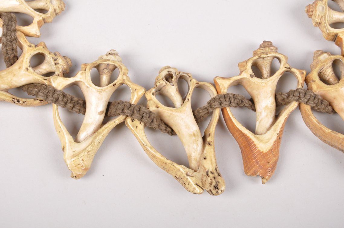 Small Conch Shell Necklace, photo 9 of 12