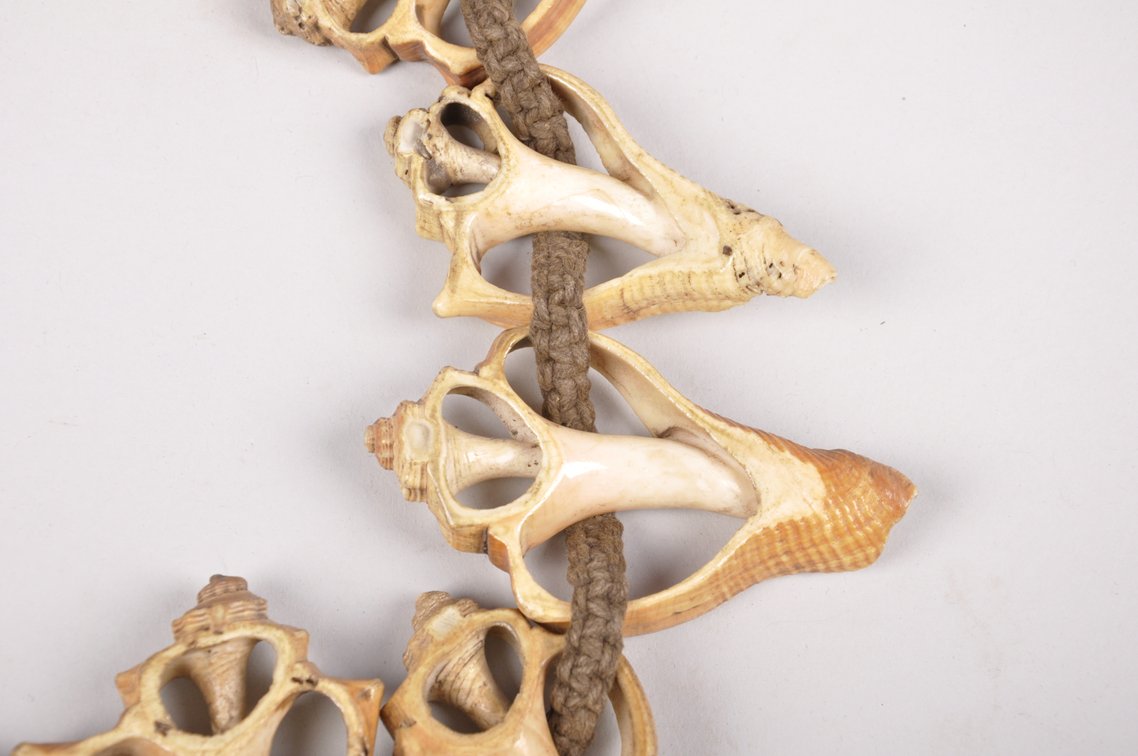 Small Conch Shell Necklace, photo 10 of 12