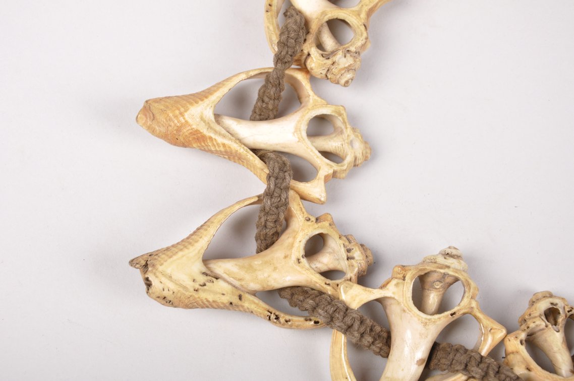 Small Conch Shell Necklace, photo 11 of 12