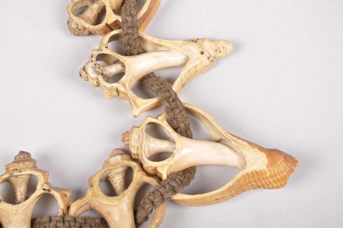 Small Conch Shell Necklace, photo 4 of 12
