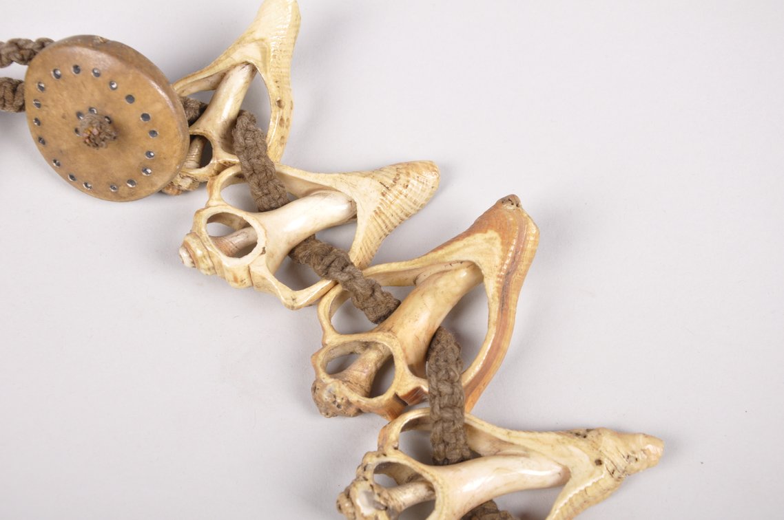 Small Conch Shell Necklace, photo 5 of 12