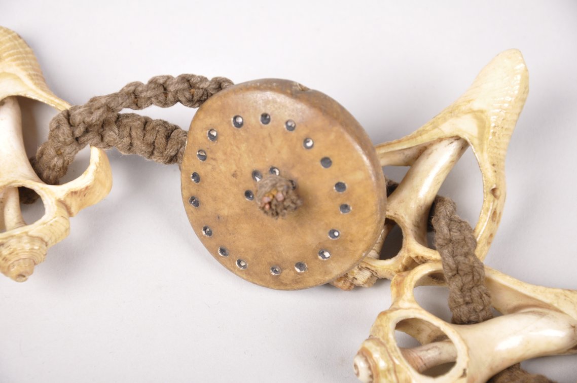Small Conch Shell Necklace, photo 6 of 12