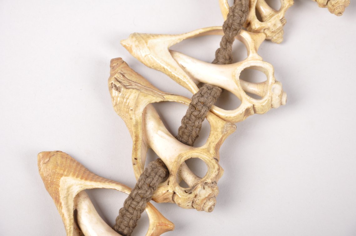 Small Conch Shell Necklace, photo 7 of 12