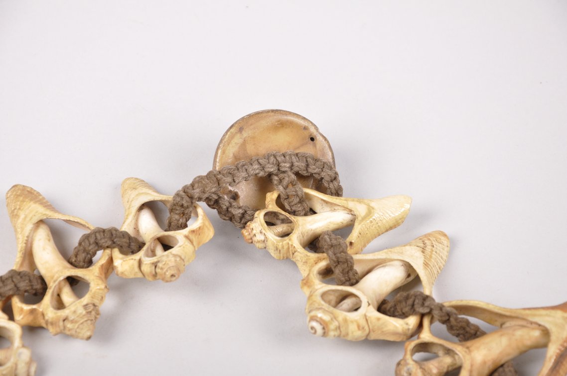 Small Conch Shell Necklace, photo 12 of 12