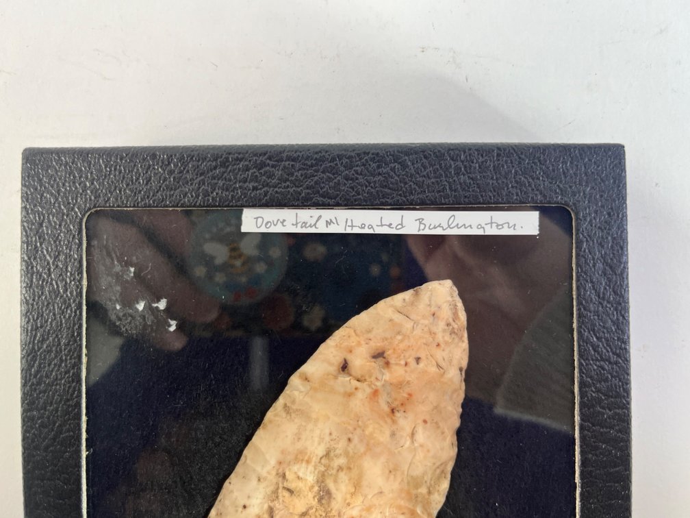 Dovetailed Arrowhead, photo 2 of 6