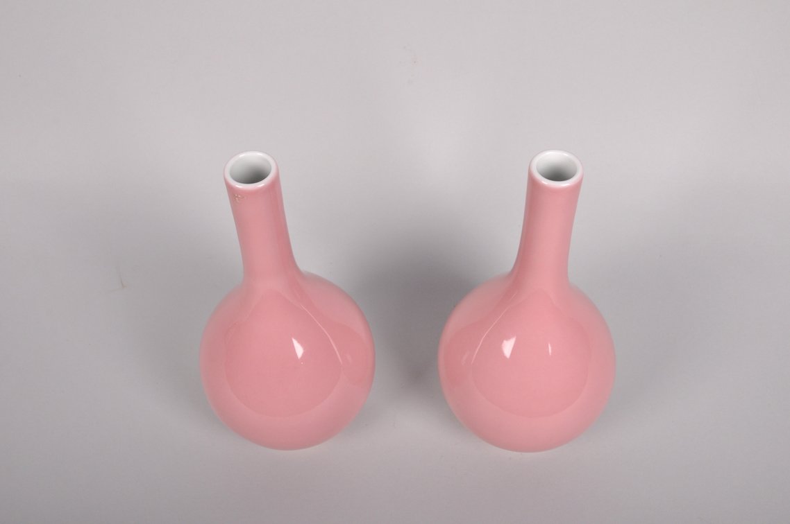 Chinese Cowpea Qing  Dynasty Porcelain  Bottle Vases, photo 5 of 18