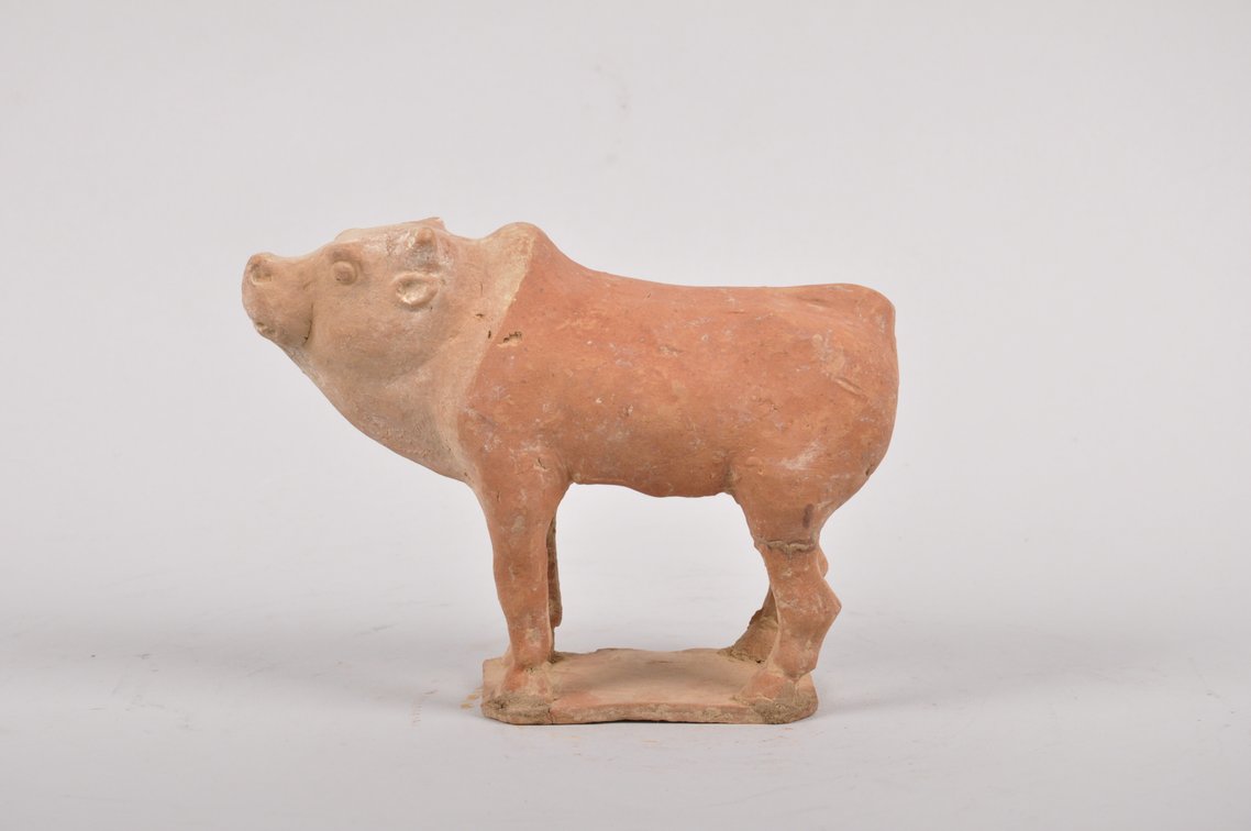 Tang Dynasty 618-907 AD Red Clay Tomb Ox Sculpture, photo 2 of 7