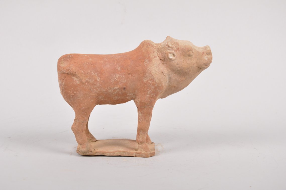 Tang Dynasty 618-907 AD Red Clay Tomb Ox Sculpture, photo 3 of 7