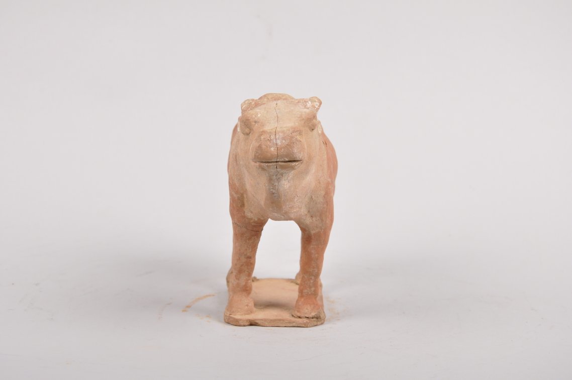 Tang Dynasty 618-907 AD Red Clay Tomb Ox Sculpture, photo 4 of 7