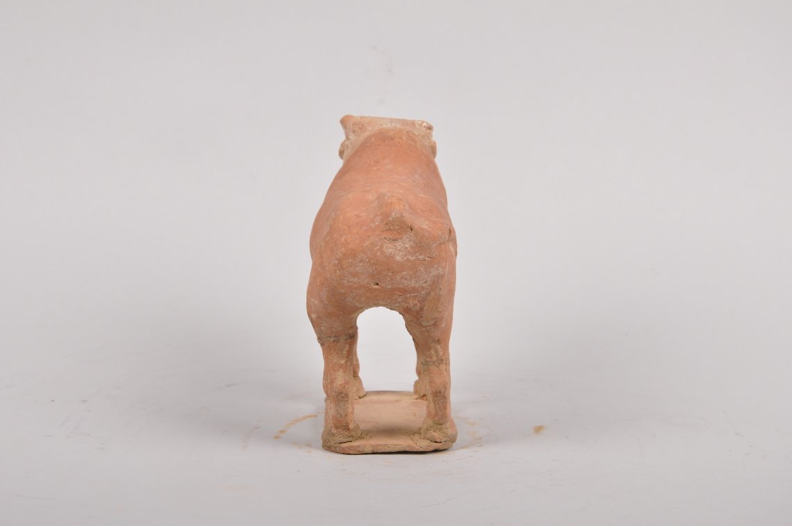 Tang Dynasty 618-907 AD Red Clay Tomb Ox Sculpture, photo 5 of 7