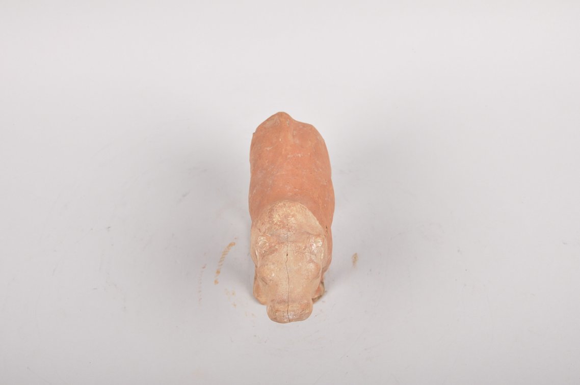 Tang Dynasty 618-907 AD Red Clay Tomb Ox Sculpture, photo 6 of 7