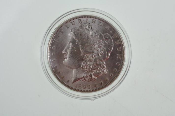 Morgan Silver Dollar